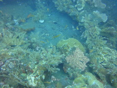 DSC00495