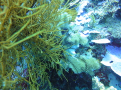 DSC00616