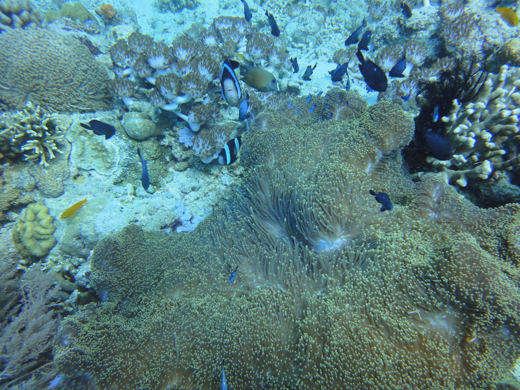 DSC00608