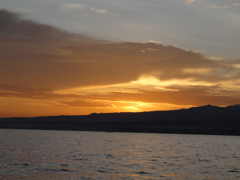 DSC00567