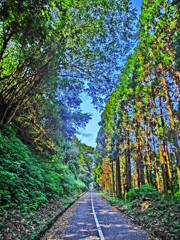長い道のり