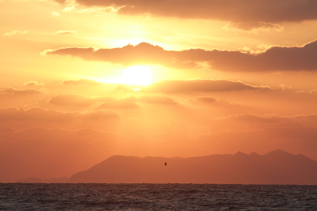 夕日を浴びて