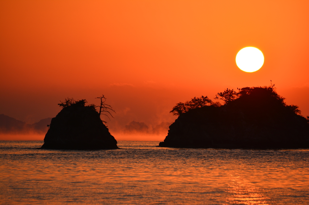 八重子 in 因島
