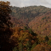 色づく山
