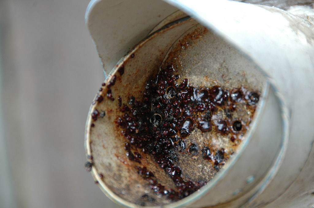 オーストラリア　Ⅶ