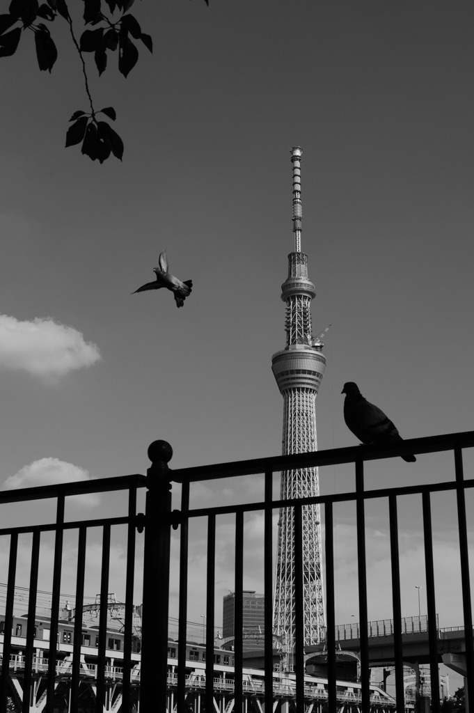 SKYTREE