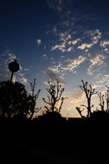公園