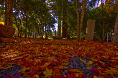 紅葉を踏みしめて