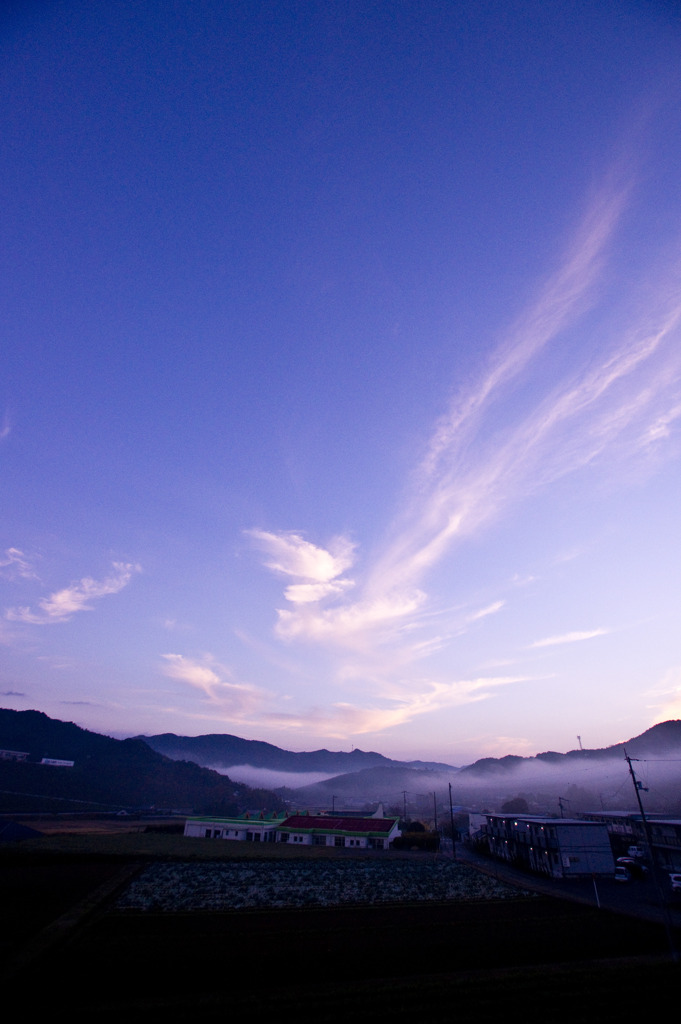 朝靄に雲の翼広げて