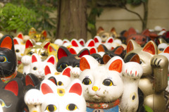 ぞろぞろ・・・・