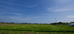 ニッポンの夏
