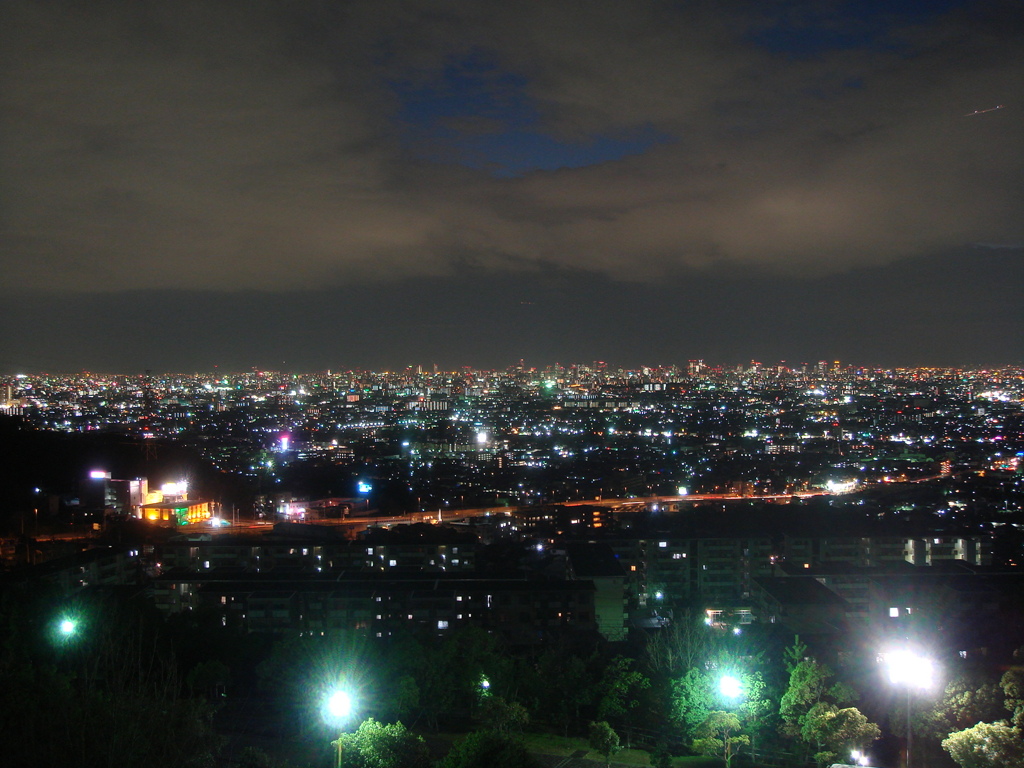DSC00104