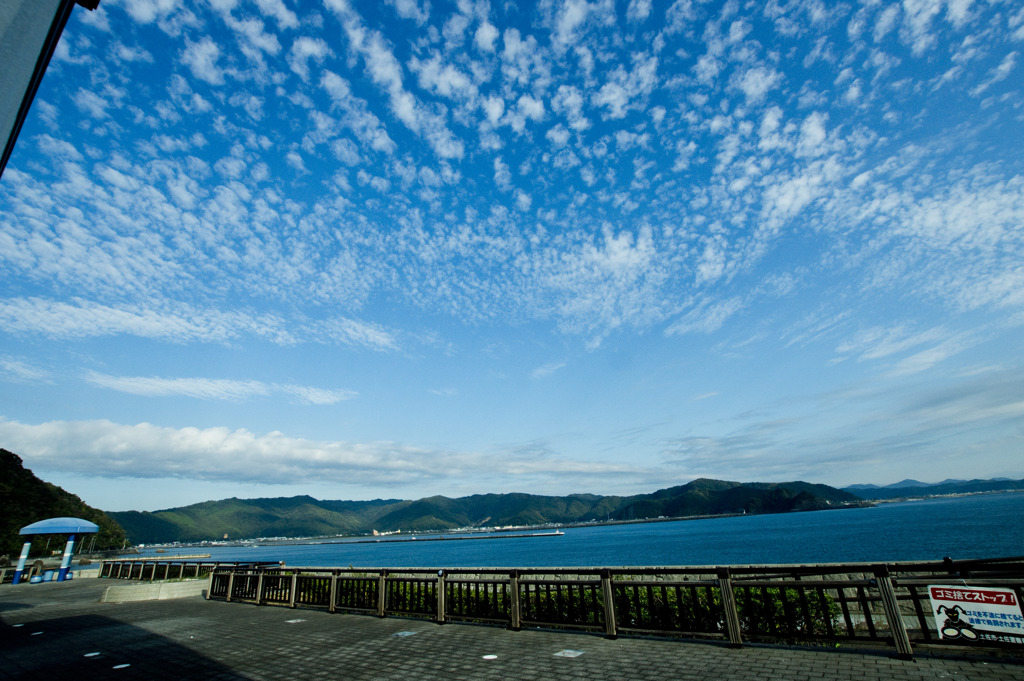 竜の浜