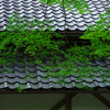 屋根