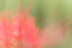 幻