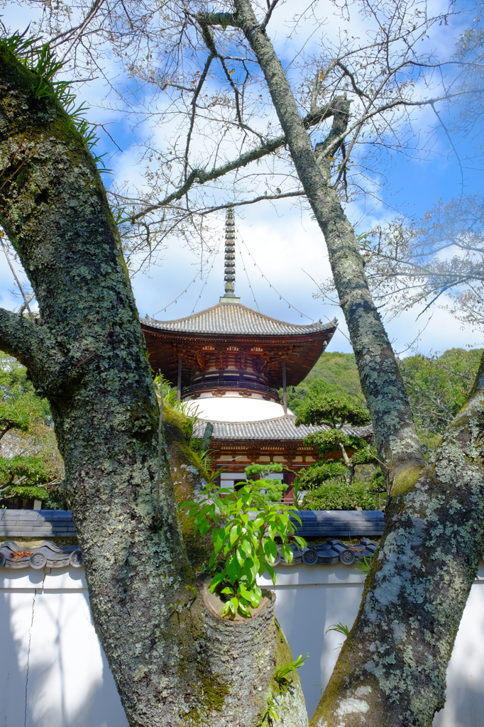 ふらりと根来寺その2