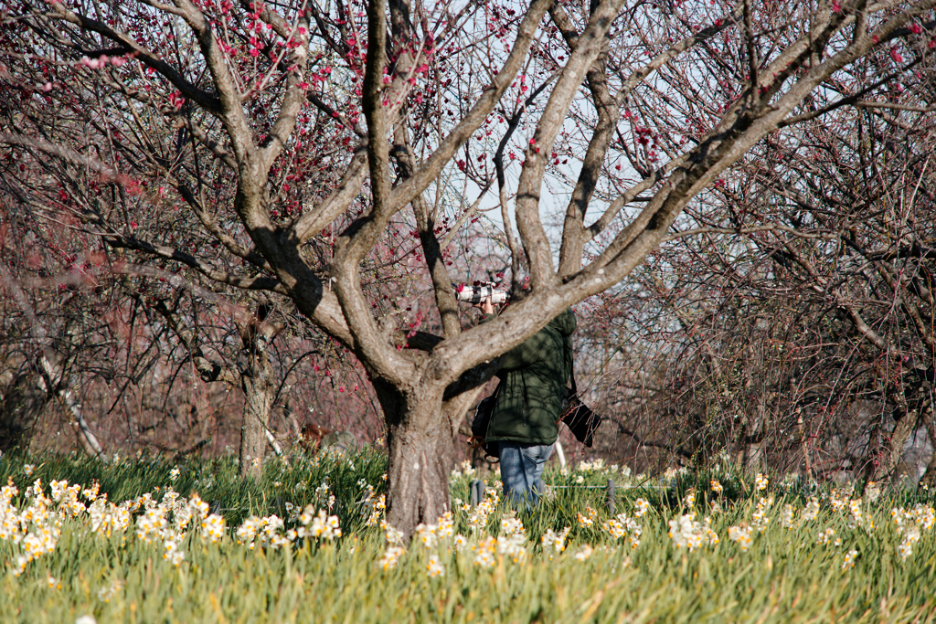 狙い撃ちする人