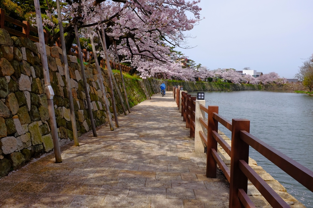 そっちは行き止まりです