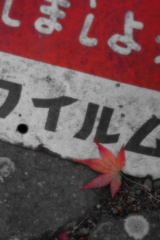 赤い
