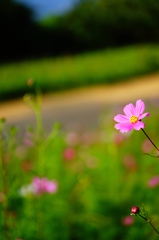 よびました～？