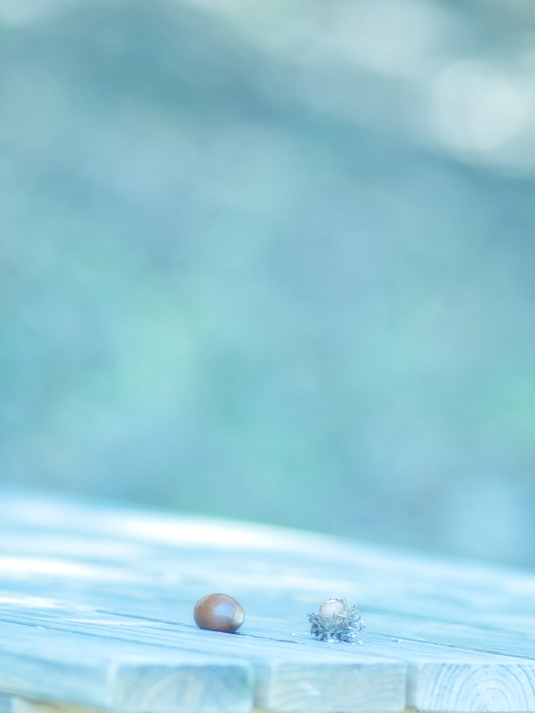 はじめてのデート