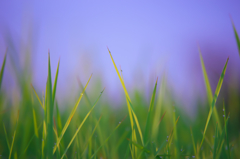 とんがってますね！