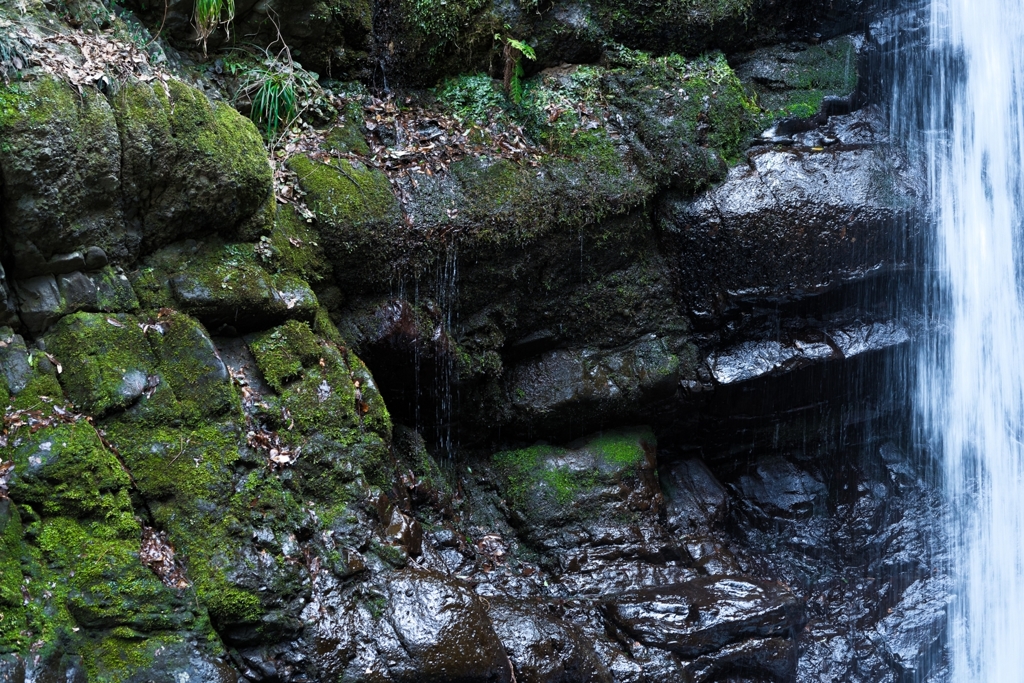 大きな流れ・小さな流れ 