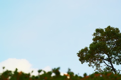 かおをのぞかせた雲