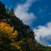 青空に向かって