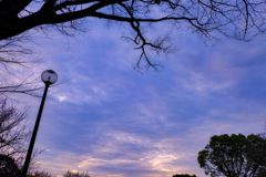 公園の空