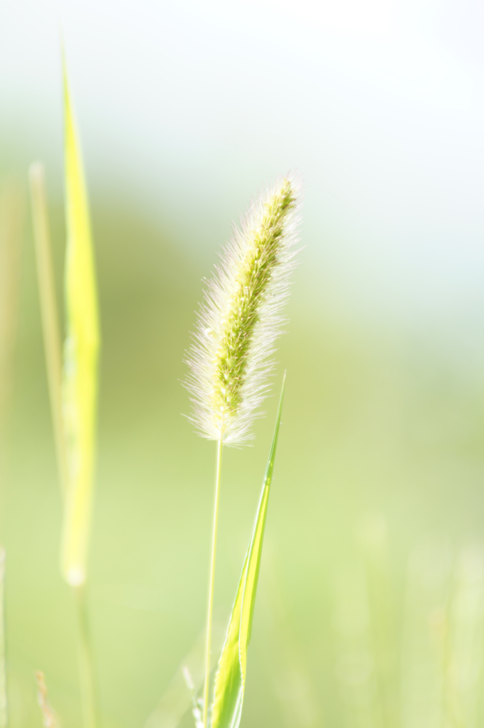 あちらにみえますのわ～