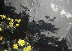 花火上がったよ