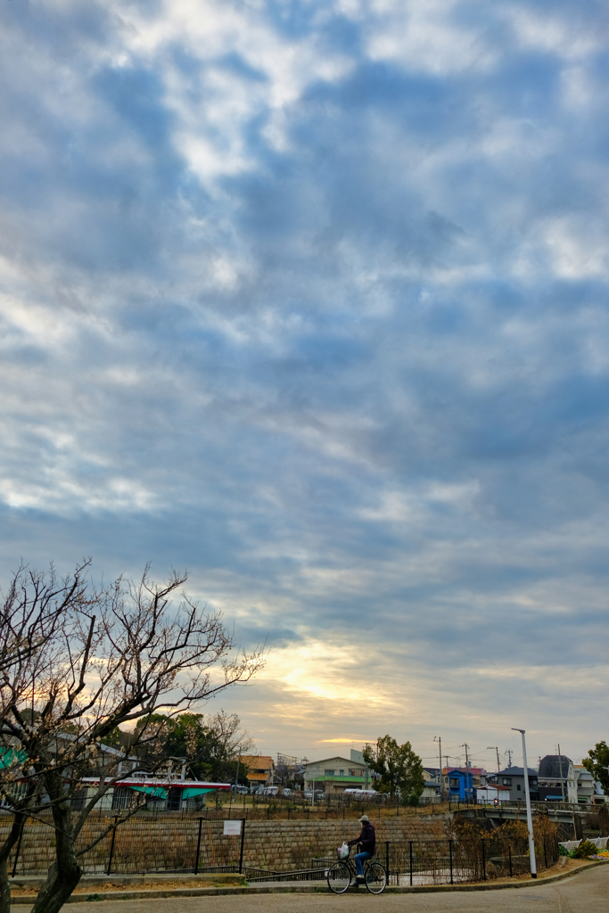 自転車と空