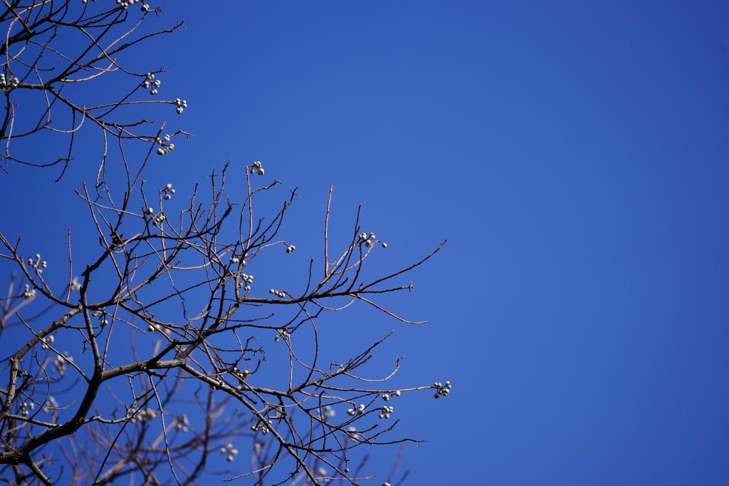 たまたまのようです、この空の青さ