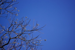 たまたまのようです、この空の青さ