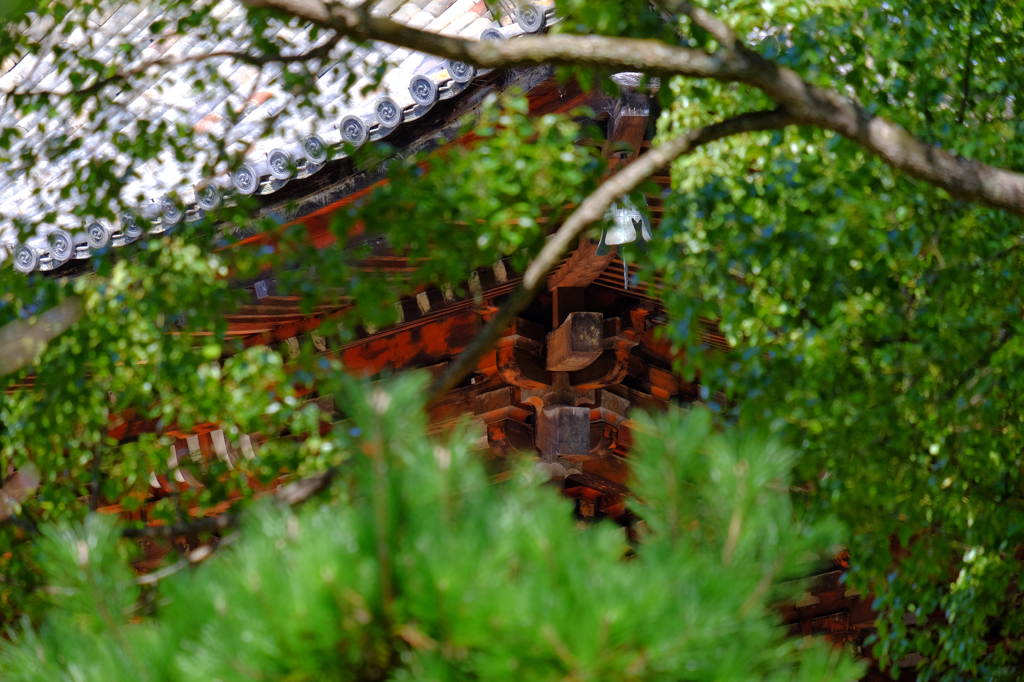 ふらりと根来寺に行ってきました。