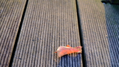 ほんのり赤く