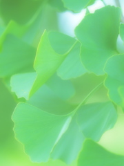 優しい手をあなたに
