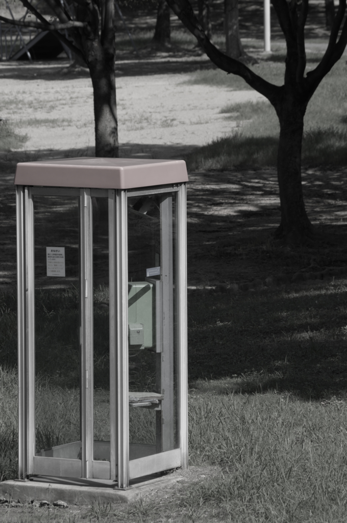 お久しぶりです