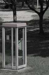 お久しぶりです