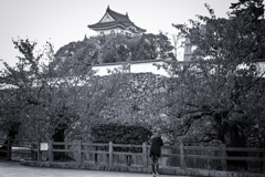 岸和田城を撮ってます。