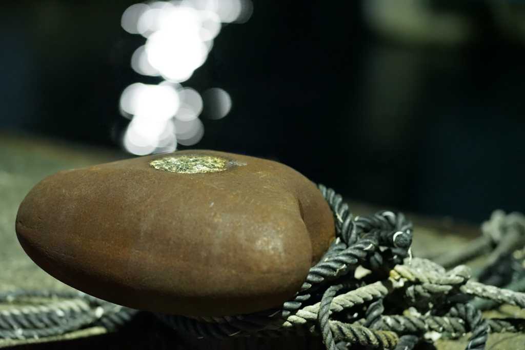 君をしっかりとつなぎ止めよう