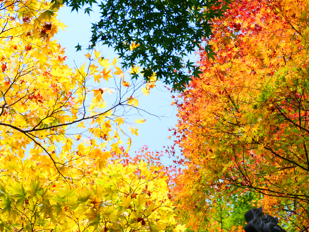 それぞれの主張