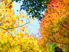 それぞれの主張