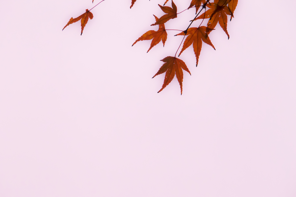 誰想う