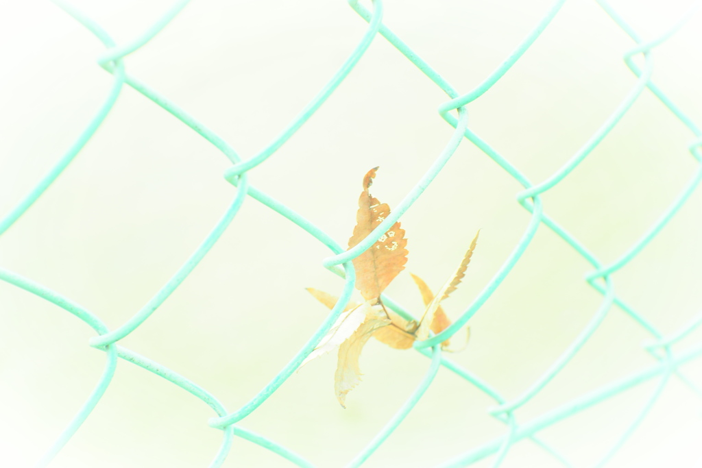 しがみついて