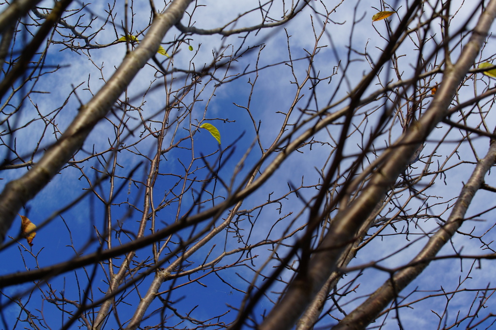 さ～いそげ～～！