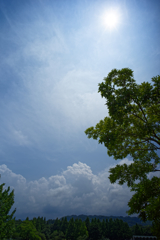 雲