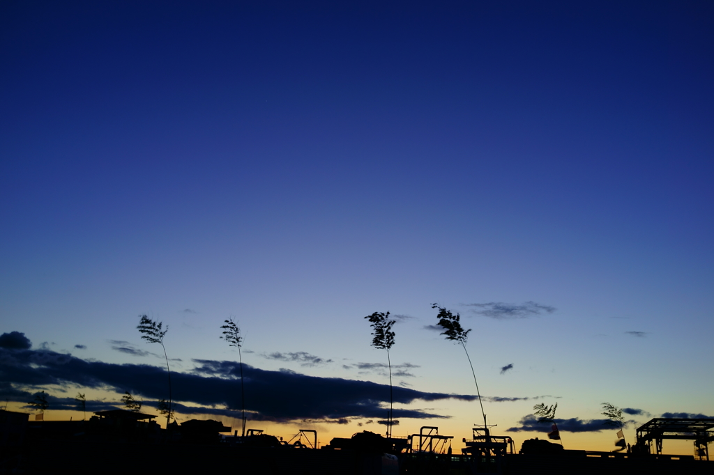 夕暮れ