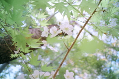 すいんぐ